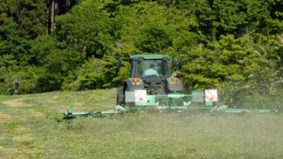 Thumbnail of post image 167