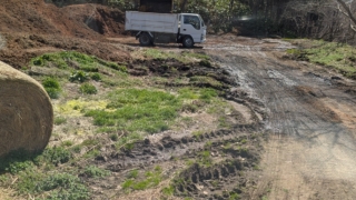 Thumbnail of post image 134